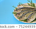 鯖魚與副本空間 75244939