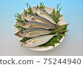 真竹莢魚 75244940