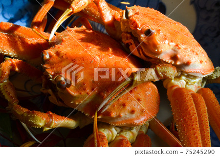 冬天的味道,鹽煮sekogani 冬天的味道,鹽煮sekogani 75245290