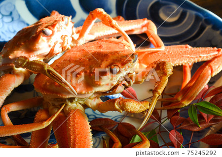 冬天的味道,鹽煮sekogani 冬天的味道,鹽煮sekogani 75245292