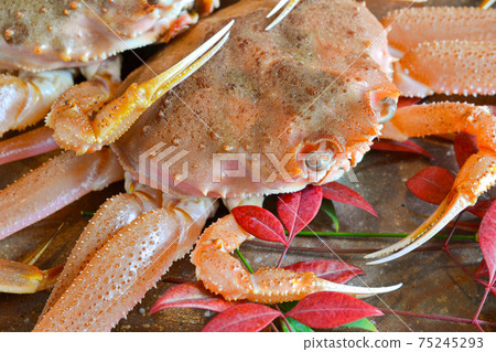 冬天的味道，還活著 75245293