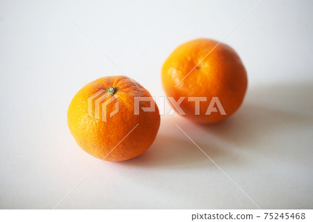 秋季水果薩摩國語 75245468