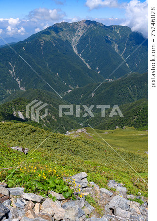 Senjogatake seen from Mt. Kita Senjogatake seen from Mt. Kita 75246028