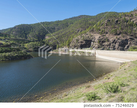 View of sweet water dam Presa de Los Perez lake in Tamadaba nature park. Gran Canaria, Canary Islands, Spain 75246029