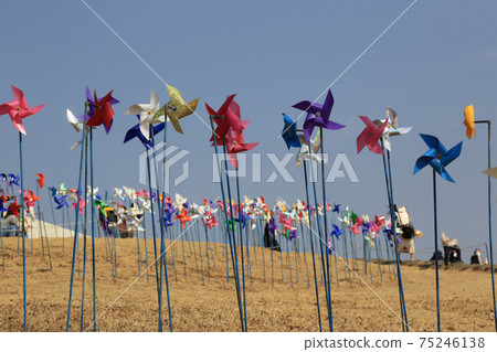 臨津閣，和平努里公園，風車，坡州市，Doboda-ri，自由橋 75246138
