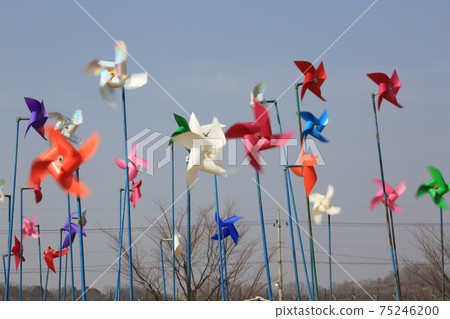 Imjingak, Peace Nuri Park, Windmill, Paju City, Doboda-ri, Freedom Bridge 75246200