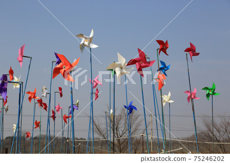 Imjingak, Peace Nuri Park, Windmill, Paju City, Doboda-ri, Freedom Bridge 75246202