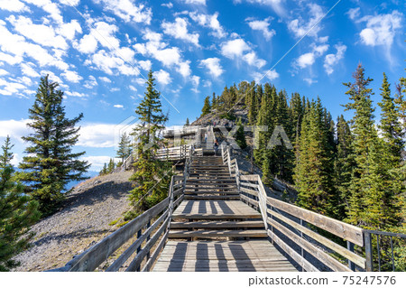 Sulphur Mountain trail in summer, wooden stairs and boardwalks along the summit. Banff National Park, Canadian Rockies, Alberta, Canada. 75247576