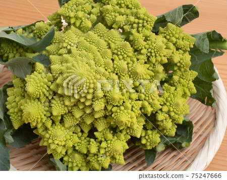 Romanesco Romanesco 75247666