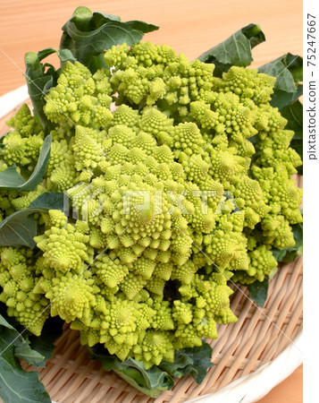 Romanesco 75247667