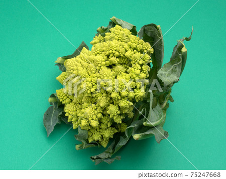 Romanesco Romanesco 75247668