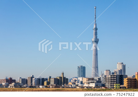 Clear Blue Sky and Tokyo Sky Tree 75247922