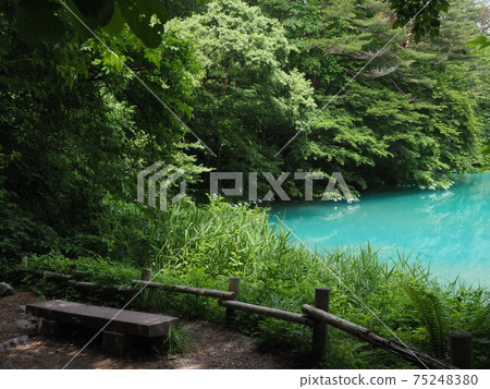 Goshikinuma Bench 75248380