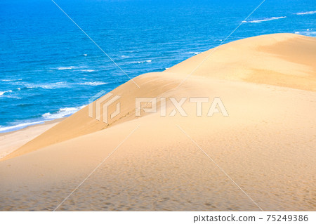 Tottori sand dunes 75249386