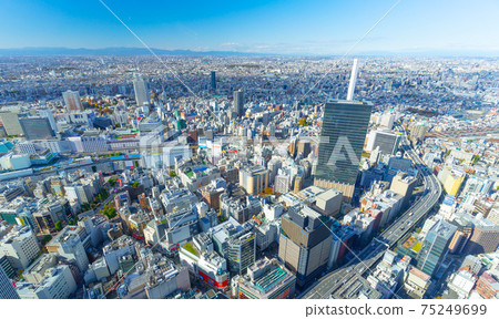 從池袋到秩父山的東京景色 75249699