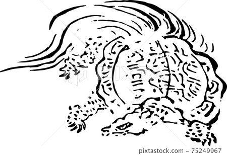 一隻眼睛不好的烏龜 一隻眼睛不好的烏龜 75249967