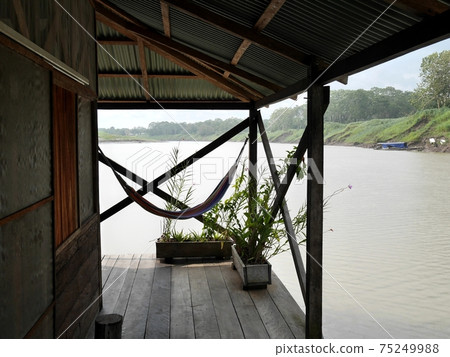 Amazon river and hammock Amazon river and hammock 75249988