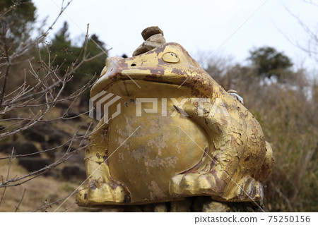 Mt. Tsukuba Tsutsujigaoka scenery 75250156