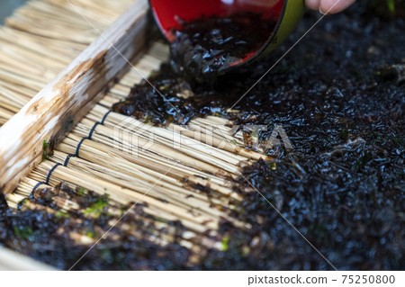 Rock seaweed making plate seaweed Rock seaweed making plate seaweed 75250800