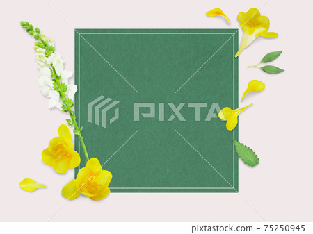 Freesia flower background image Freesia flower background image 75250945
