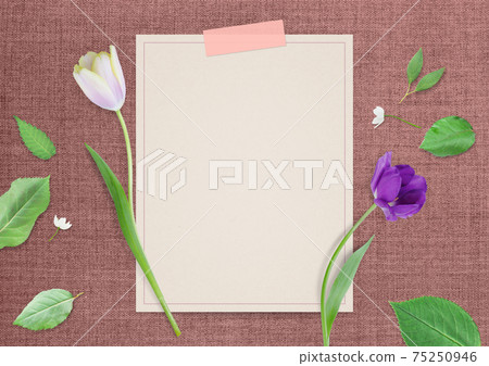 鬱金香花背景圖像 75250946