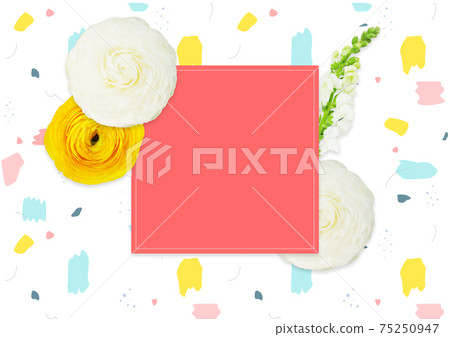 毛an屬植物背景圖像 75250947