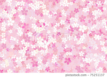 Background full of cherry blossom petals 75251137