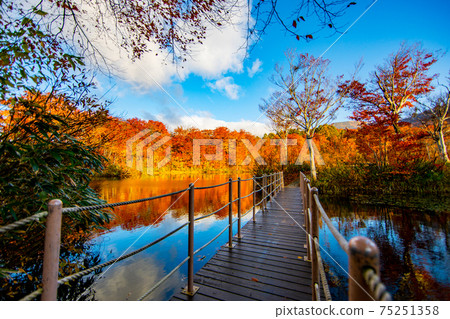 Jizo池塘秋葉 75251358