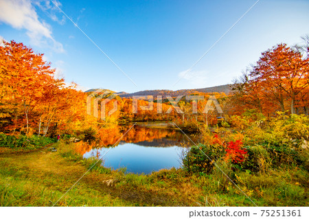 Autumn leaves of Jizo pond Autumn leaves of Jizo pond 75251361