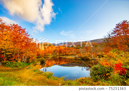 Jizo池塘秋葉 Jizo池塘秋葉 75251363