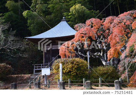 我去看中kamado哭泣的Momiji#10 我去看中kamado哭泣的Momiji#10 75251481