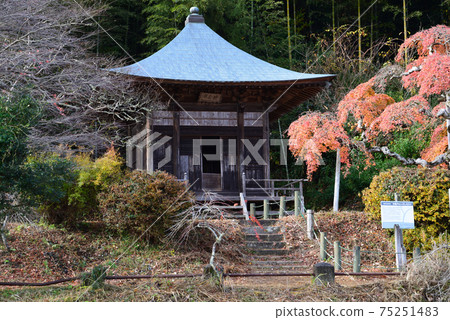 I went to see Nakakamado Weeping Momiji # 8 75251483