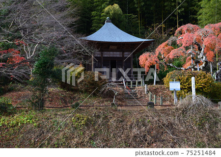 我去看了中ka堂哭泣的Momiji#7 我去看了中ka堂哭泣的Momiji#7 75251484