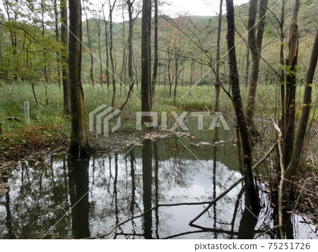 福島縣福島市築地溫泉小沼 75251726