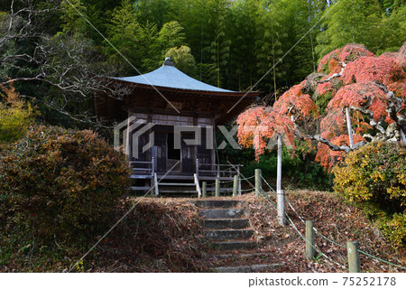 我去看了中片ado哭泣的Momiji＃29 75252178