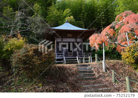 我去看了中ka堂哭泣的Momiji＃28 75252179