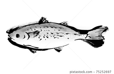 日式手繪魚插圖素材material魚 插圖素材 圖庫