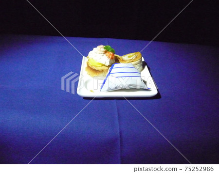 商務艙機上用餐 75252986