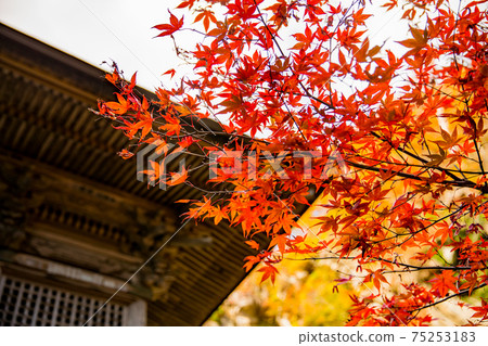 秋天的山寺 秋天的山寺 75253183