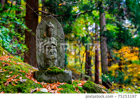 Autumn mountain temple 75253197