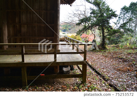 I went to see Nakakamado Weeping Momiji # 36 75253572