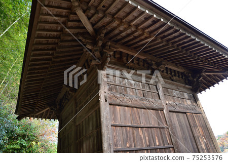 I went to see Nakakamado Weeping Momiji # 32 75253576