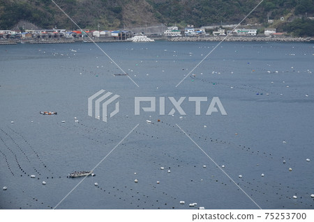 Yura半島的一個小漁村 75253700