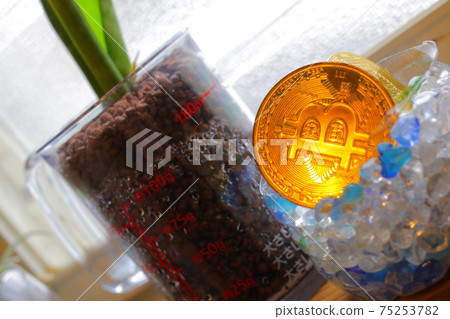 黃金虛擬貨幣比特幣和虎尾蘭植物 75253782