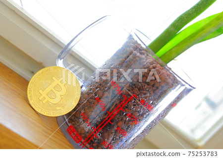 閃耀比特幣和種植植物 75253783