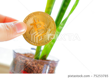 Female hands and plants grabbing a Bitcoin replica Female hands and plants grabbing a Bitcoin replica 75253785
