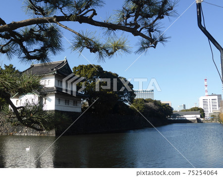 Edo Castle Sakurada Tatsumi Yagura, Swan and Tokyo Fire Department 75254064
