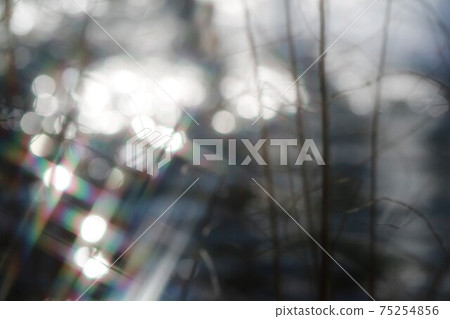 Spring riverside, glittering water surface and grass Spring riverside, glittering water surface and grass 75254856