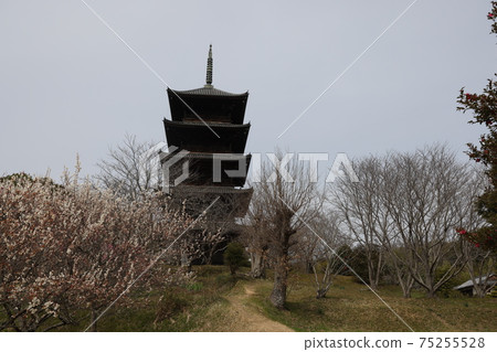Five-storied pagoda in Soja City, Okayama Prefecture, Japan 75255528