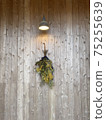 Mimosa interior 75255639